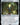 Endurance Bobblehead (Surge Foil)