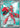 Scizor ex - 195/162