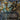 Desertion (Borderless)
