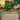 Bristlebud Farmer (Showcase)