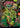 Ignoble Hierarch (Rainbow Foil)