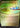 Reflecting Pool (Rainbow Foil)
