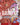 Bepo (Winner Pack Vol. 7)