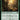 Sylvan Safekeeper