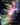 dOOm bLaDE (Rainbow Foil)