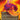 Flare of Duplication (Borderless)