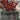 Grist, Voracious Larva (Borderless)