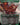 Grist, Voracious Larva (Borderless)