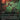 Dismember (Borderless)