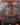 Fury (Borderless)