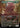 Sowing Mycospawn (Borderless)