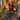 Springheart Nantuko (Borderless)