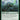 Scute Swarm