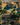Silent Clearing (Borderless)