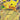 Pikachu ex (Pikachu 60)