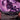 Doomsday Excruciator (Borderless)