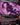 Doomsday Excruciator (Borderless)