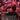 Screaming Nemesis (Borderless)