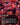 Screaming Nemesis (Borderless)