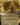 Three Tree City (Borderless) (0337)