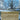 Three Tree City (Borderless) (0340)