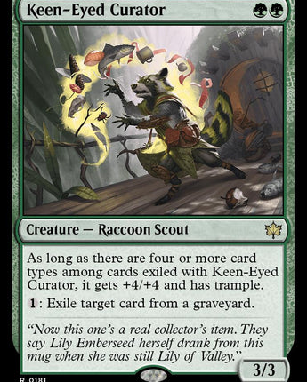 Keen-Eyed Curator
