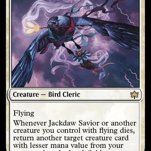 Jackdaw Savior