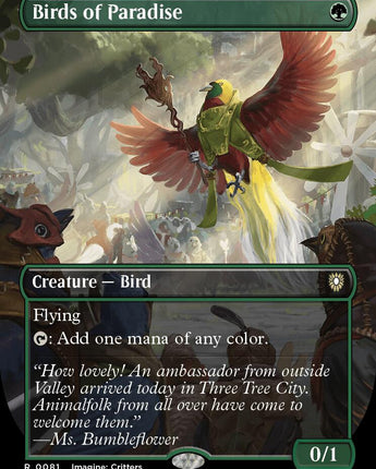 Birds of Paradise (Borderless)
