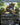 Frogmite (Borderless)