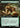 Scurry of Squirrels (Extended Art)