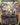 Ms. Bumbleflower (Borderless) (Raised Foil)