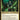 Winter, Misanthropic Guide