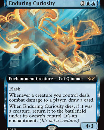 Enduring Curiosity (Extended Art)