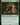 Hauntwoods Shrieker
