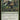 Mutagenic Growth