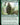 Dionus, Elvish Archdruid (Anime)