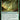 Primeval Bounty