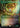 Go-Shintai of Life's Origin (Rainbow Foil)