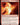 Reforge the Soul