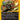 Draconautics Engineer (Borderless) (First-Place Foil)