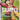 Monkey.D.Luffy (014)