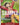 Monkey.D.Luffy (014)