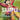 Monkey.D.Luffy (014) (Parallel)
