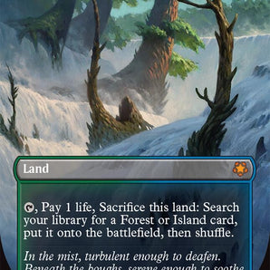 Misty Rainforest (Borderless)