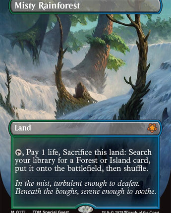 Misty Rainforest (Borderless)