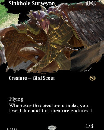 Sinkhole Surveyor (Borderless)