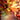 Vandalblast (1757) (Rainbow Foil)