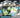 Pokemon Black Bolt 3-Pack Tech Sticker Collection 