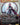Lightning, Army of One (0320) (Borderless)