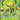 Electivire ex - 212/182